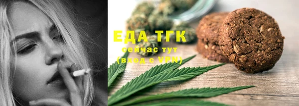 шишки Сатка