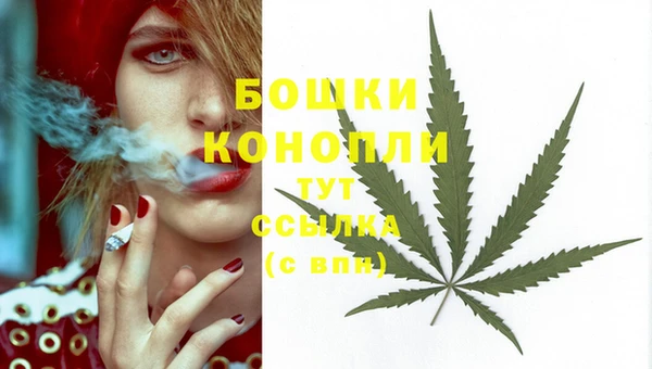 spice Рославль