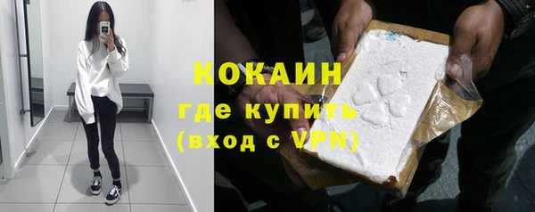 шишки Сатка
