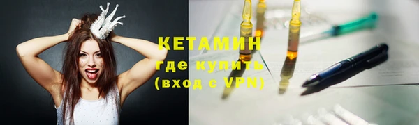 шишки Сатка