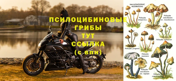 apvp Саяногорск