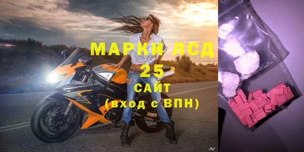 шишки Сатка