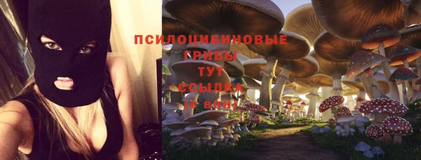 apvp Саяногорск