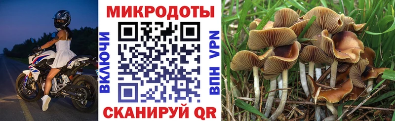 Галлюциногенные грибы GOLDEN TEACHER  Фёдоровский 